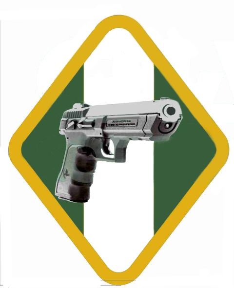 Curso de Escolta, Seguridad y Protección