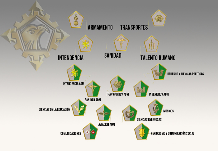 Nuestas Insignias