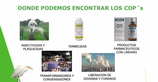 Charla virtual sobre la sensibilización ecológica.