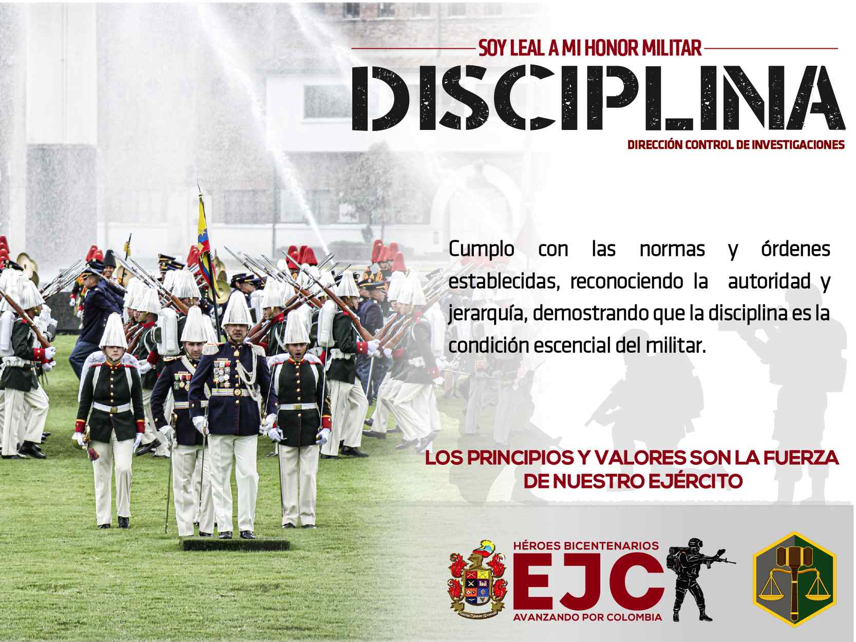 8. Disciplina