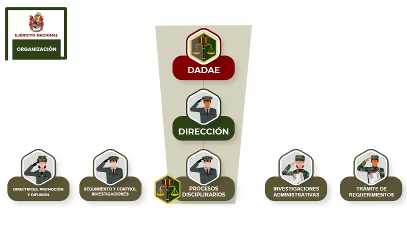 3. Organización