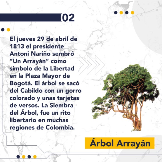Árbol Arrayan