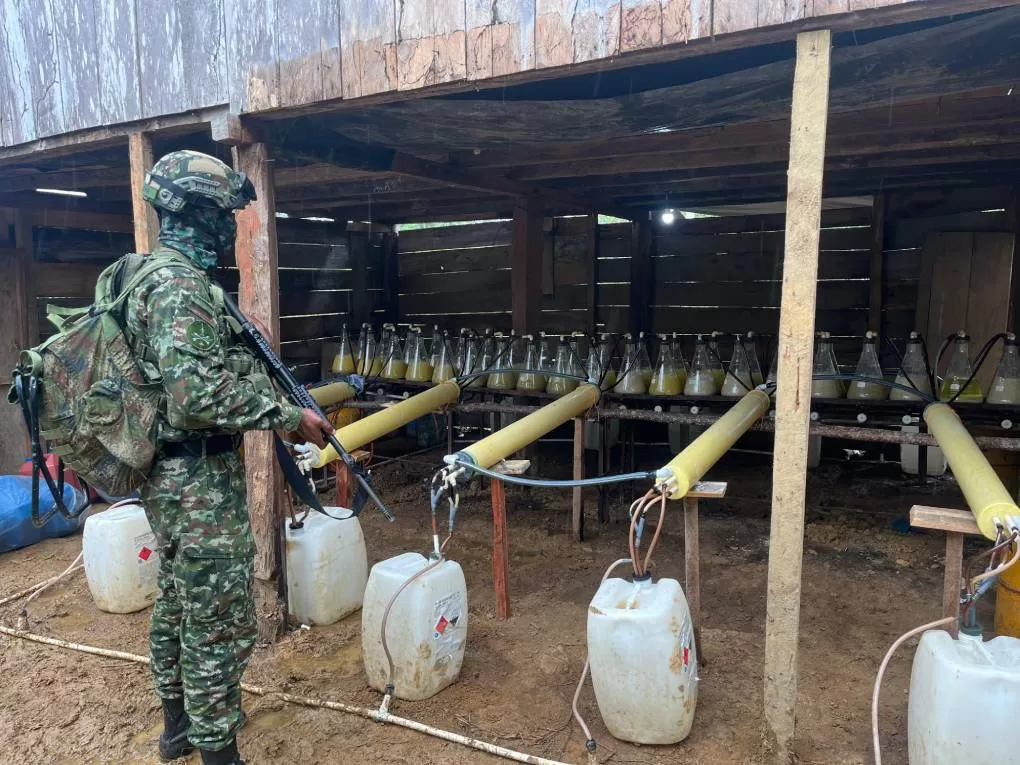 Hallados diez laboratorios empleados para procesar alcaloides en un corredor de movilidad del narcotráfico utilizado por la estructura Comandos de Frontera