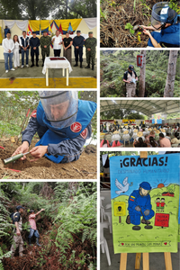Baraya, Huila, tiene la primera zona libre de sospecha de minas antipersonal